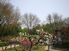 -玲珑塔公园
