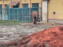 -哈尔滨北方森林动物园