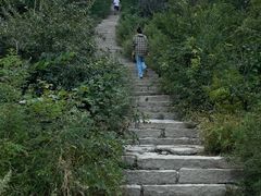 -北京西山国家森林公园