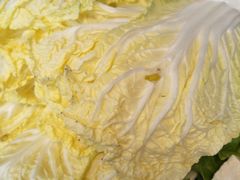 娃娃菜-陶老爷城一锅羊蝎子(西四路店)