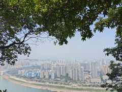 -南山植物园