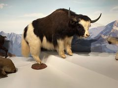 -陕西自然博物馆