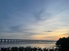 -宝安西湾红树林湿地公园