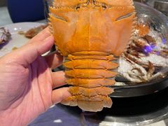 -半岛听涛蒸汽海鲜自助(K11店)