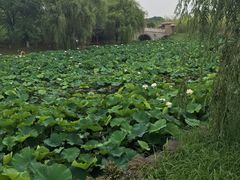 -重元寺香积厨素斋馆