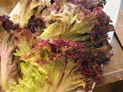 -菌乡缘·野生菌蒸汽鱼火锅(江边夜市店)