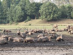 -溱湖国家湿地公园