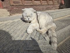 -张掖大佛寺景区