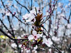 -桤木河湿地公园