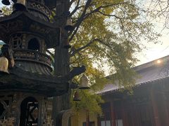 -南山风景名胜区