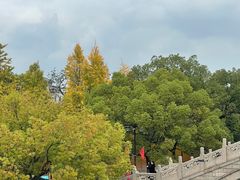 -枫桥景区