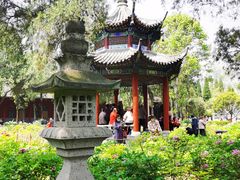 -洛阳白马寺
