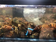 -盒马鲜生(曜一城店)
