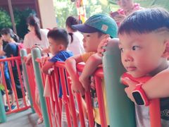 -美的鹭湖探索王国