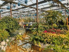 -南宫五洲植物乐园
