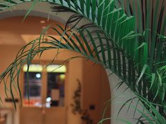 -奈诺甜品·生日蛋糕·下午茶(古城店)