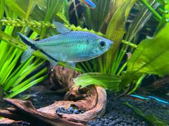 -上海海洋水族馆