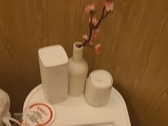 -耳道精致采耳(运达汇店)