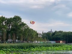 -长春市南湖公园