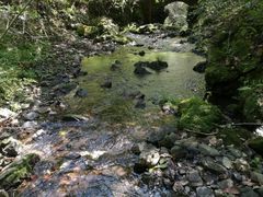-夏霖九天银瀑风景区