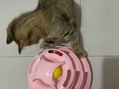 -太原东方动物医院(小店分院)