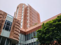 -香港大学