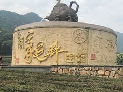 -龙坞茶村