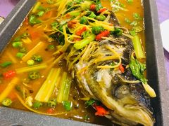活渡花鲢-蜀江春(科华北路店)