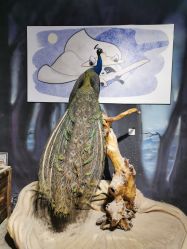 -酷嗒动物文化乐园(cutezoo西溪乐天城店)