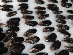 -盒马鲜生(杭州运河上街店)
