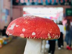 -云南木水花野生菌交易中心