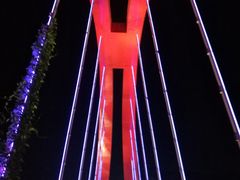 -玉树公园