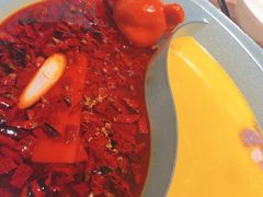 -青瓷火锅料理(西单大悦城店)