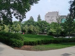 -武汉大学-樱园
