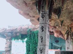 -贵州森林野生动物园