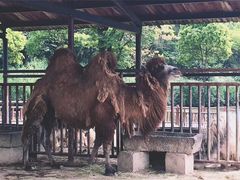 -无锡动物园·太湖欢乐园