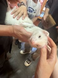 -Zoolung Zoolung动物主题公园(海信广场店)