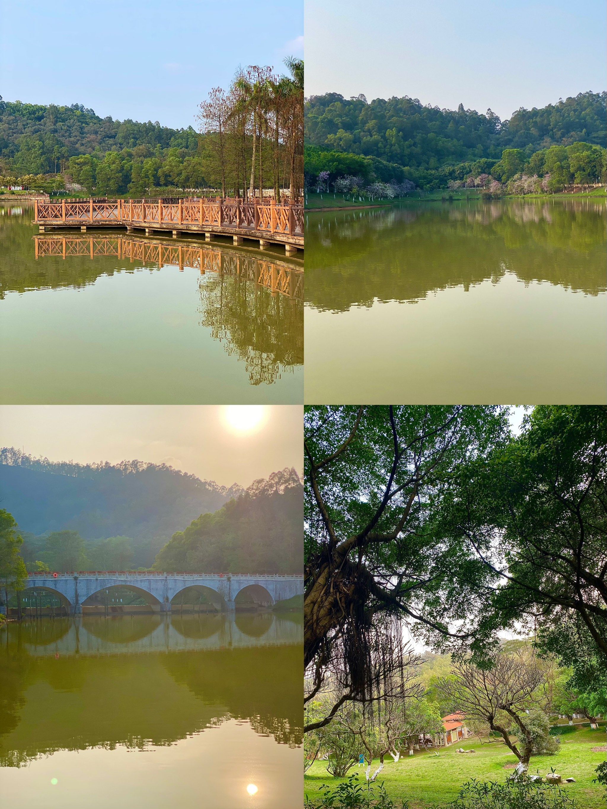 城市森林里的大氧吧