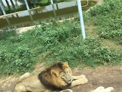 -西安秦岭野生动物园