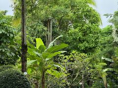 -西双版纳融创皇冠假日度假酒店