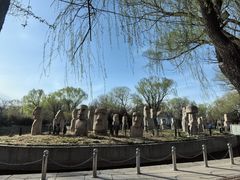 -北京世界公园