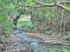 -燕晗山郊野公园