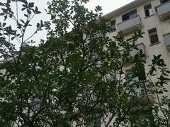 -长沙金源阳光酒店(五一广场贺龙体育馆店)