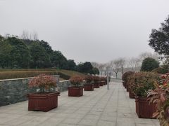 -洨河生态公园