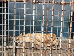 -如皋市龙游湖欢乐世界