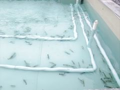 -DGE季风钓虾营地·团建·聚会