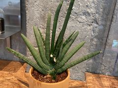 -山海四合·咖啡