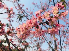 -华南国家植物园-售票处