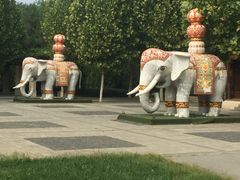 -永定河休闲森林公园