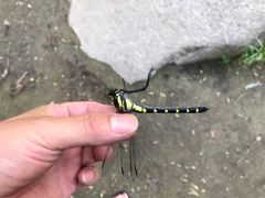 -碓臼峪自然风景区